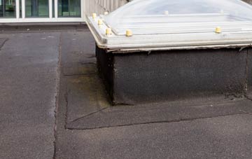 disadvantages of Llowes flat roofs