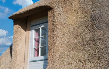 Llowes thatch roof disadvantages